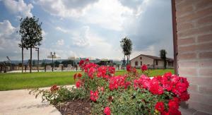 Agriturismo Le Rondini Di Francesco Di Assisi