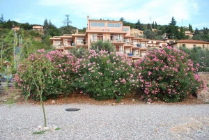 Residence Wieland