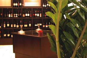 Hotel Raffaello Modena