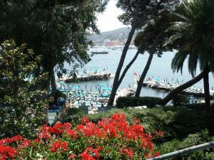 Hotel Metropole