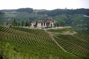 Il Boscareto Resort & Spa