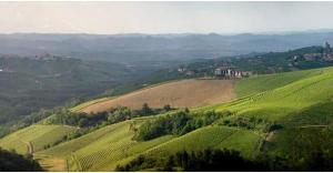Il Boscareto Resort & Spa