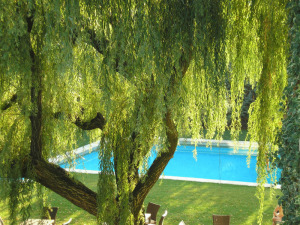 Blue Dream Hotel