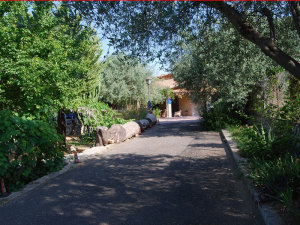 Bed And Breakfast Anticomar