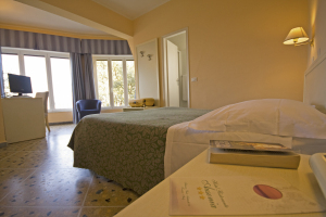 Hotel Ausonia