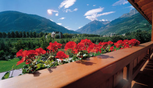 Hotel Garni Partaneshof
