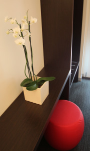 Hotel Firenze
