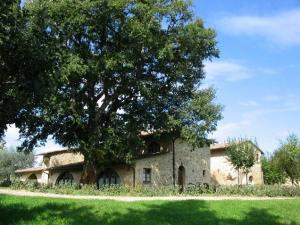 Borgo Al Cerro
