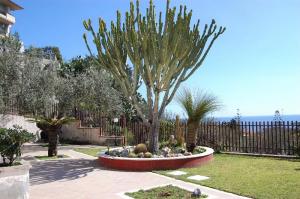 Hotel Lachea