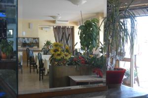 Hotel Nettuno