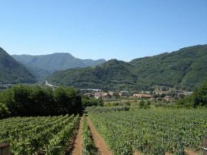 Tenuta La Fratta Apartments