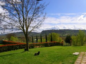 Agriturismo Il Poggio Di Orvieto