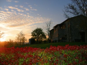 Agriturismo Il Poggio Di Orvieto