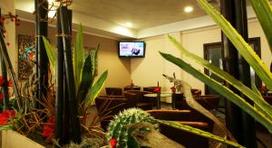Record Hotel