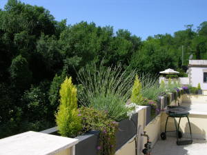 Aurelia Vatican Apartments