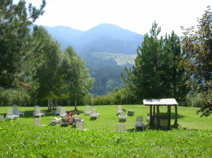 Residence Appartamenti Des Alpes