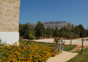 Agriturismo La Concordia