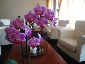 Albergo Park Hotel Giada