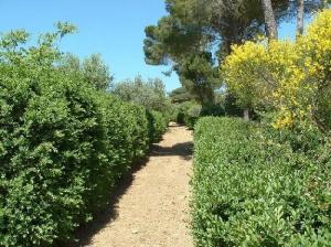 Villa Trigona