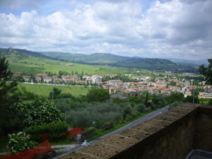 B&B Villa degli Ulivi