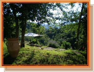 Bio Agriturismo Il Vigno