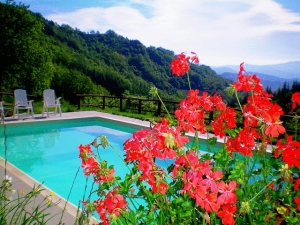 Bio Agriturismo Il Vigno