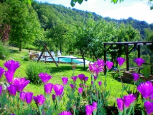 Bio Agriturismo Il Vigno