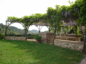 Bosco Della Spina