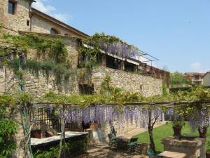 Bosco Della Spina