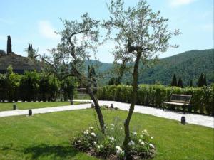 Resort Olmo