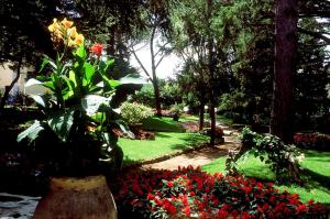 Hotel San Michele