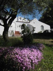 Hotel Cedrino