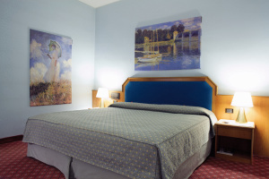 Eur Hotel Milano Fiera