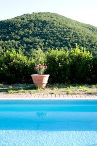 Villa Rosa Di Boscorotondo