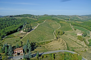 Villa Rosa Di Boscorotondo