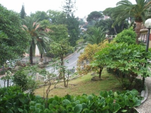 Hotel Delle Rose