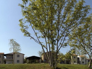 Belvedere Village