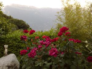Village Bazzanega