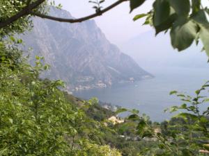 Village Bazzanega