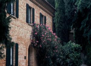 Palazzo Viviani Castello Montegridolfo