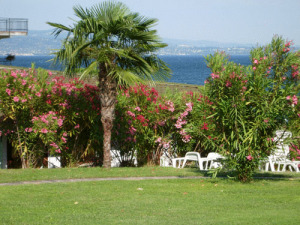 Apparthotel San Sivino