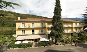 Hotel Steiner