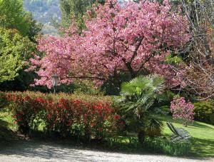 Du Parc Dipendenza