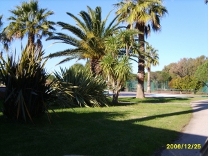 Hotel Corte Rosada